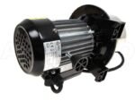Pompe de jardin auto-amorçante Annovi & Reverberi ARGP800X- corps Inox - puissance 800 W – Image 15